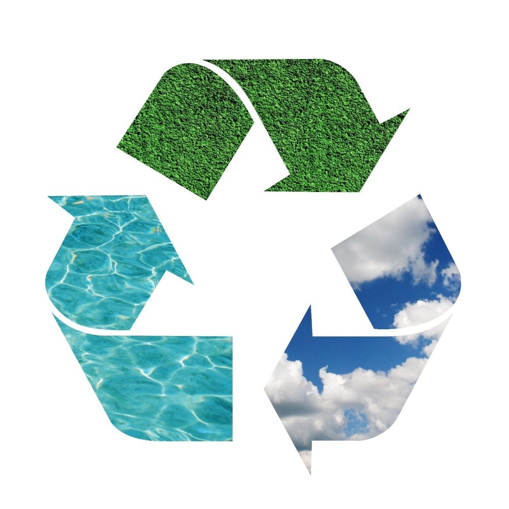 untitled design (20)