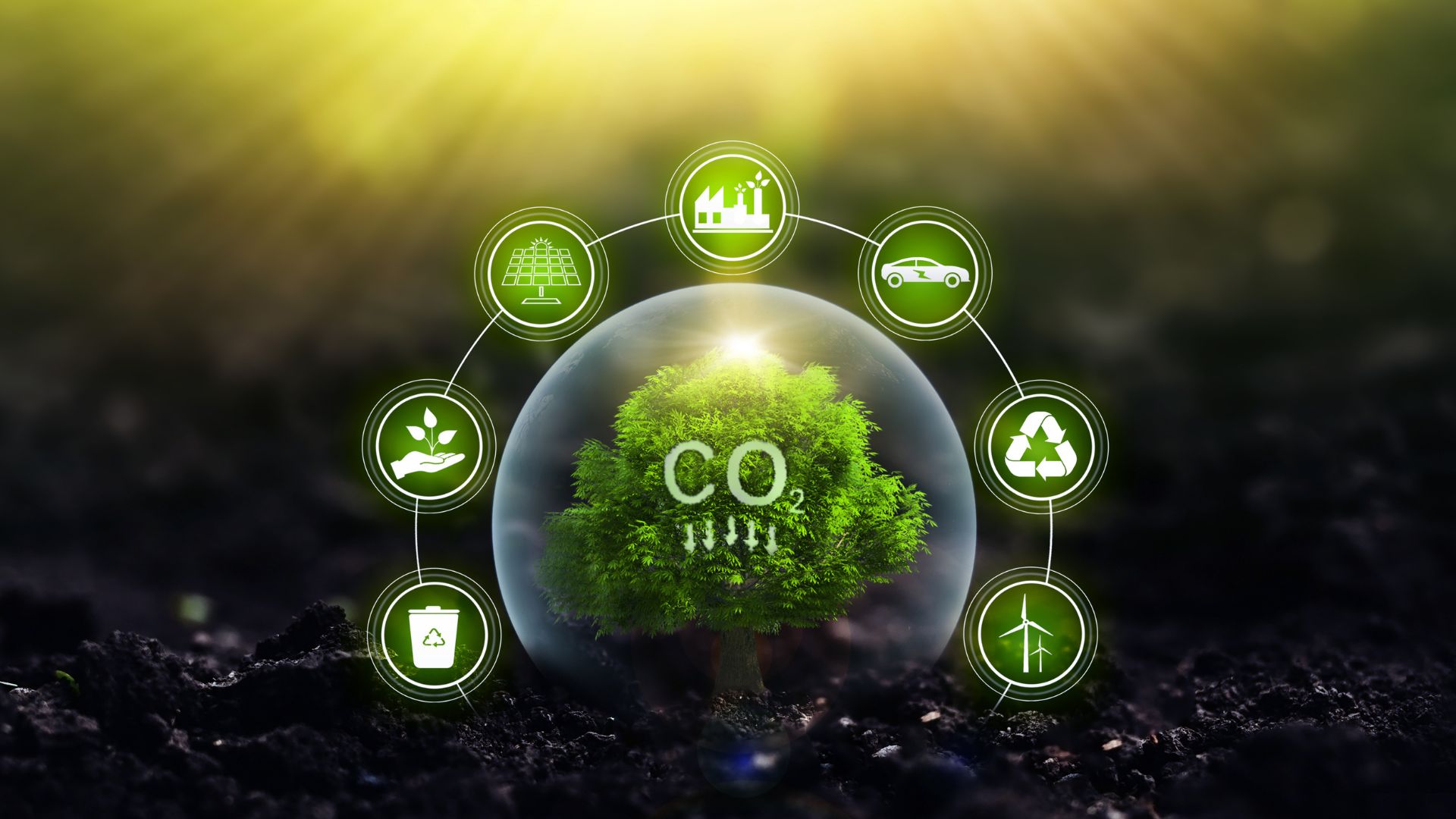 SBTi Corporate Net-Zero Standard 2.0：企業淨零策略、Scope 1-3 管理與碳移除規則解析