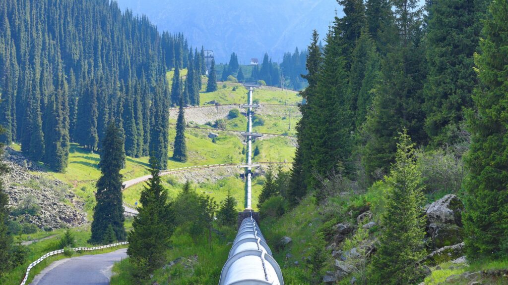 SBTi淨零策略解析：碳移除與高完整性碳權的角色與會計處理