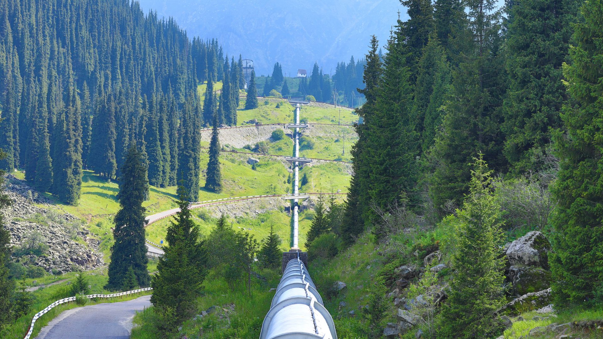 SBTi淨零策略解析：碳移除與高完整性碳權的角色與會計處理